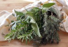 Come conservare le erbe aromatiche